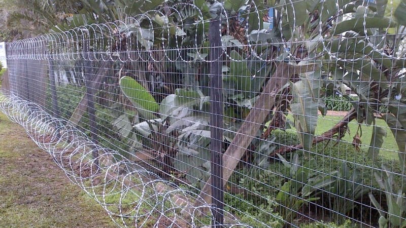 Professional fencing team at Elite Fencing Solutions installing security fence